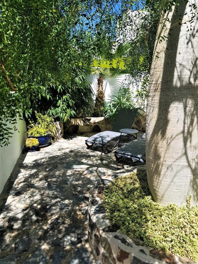 Casa La Moringa - Holiday House Close To The Beach Arguineguin エクステリア 写真
